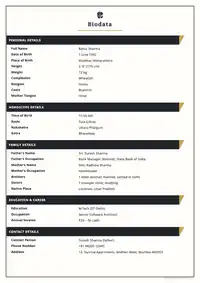 Ink & Gold Ribbon marriage biodata template