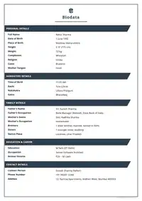 Slate Ribbon marriage biodata template